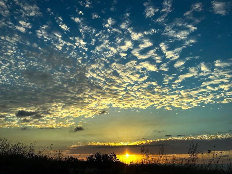 For once, Tina is actually watching! TinaWatchesTheSunset 🌅 (North Lebanon Highway)