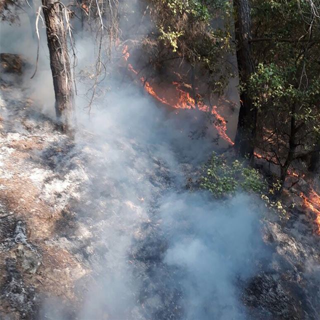 For  safety reasons,  JabalMoussa 's  Chouwan entrance is closed today due...