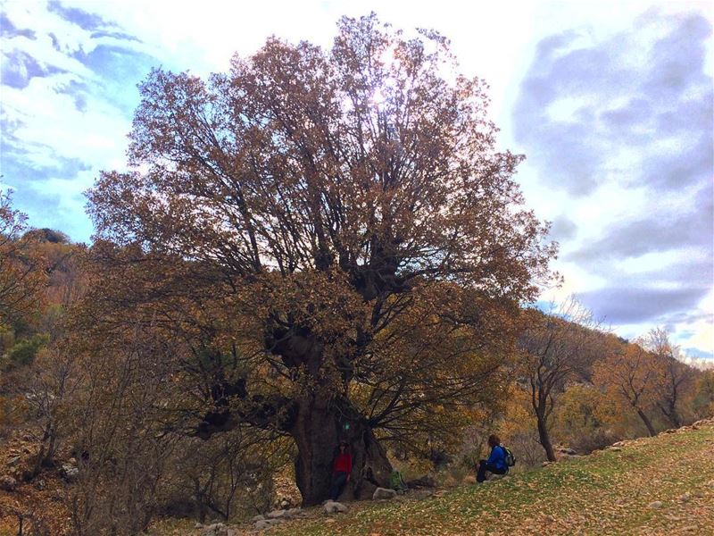 For the love of autumn ❤️ (`Ammiq, Béqaa, Lebanon)