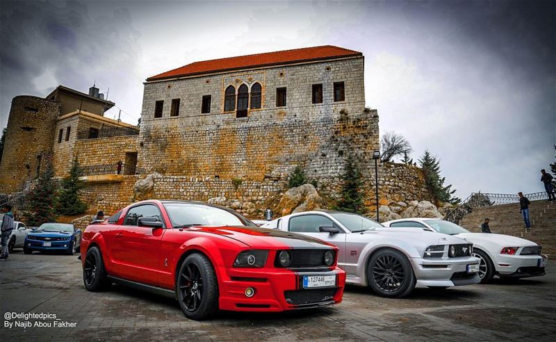  ford  fordmustang  americanmuscle  car  carporn  love  tbt  rt  gt  power... (Rashaya Al Wady)