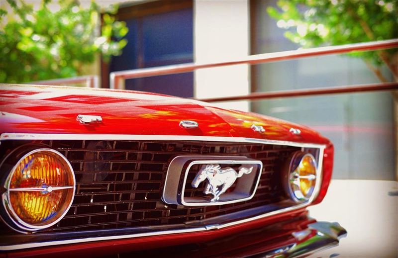 FORD Mustang 1966 - collection car  ford  fordmustang  red  mustang ...