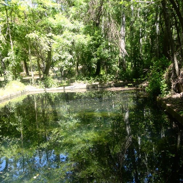 forestpark park parcforestlakewaterbeautifullebanon beautifulnature discoverlebanon discoverlebanonsnaturereflection