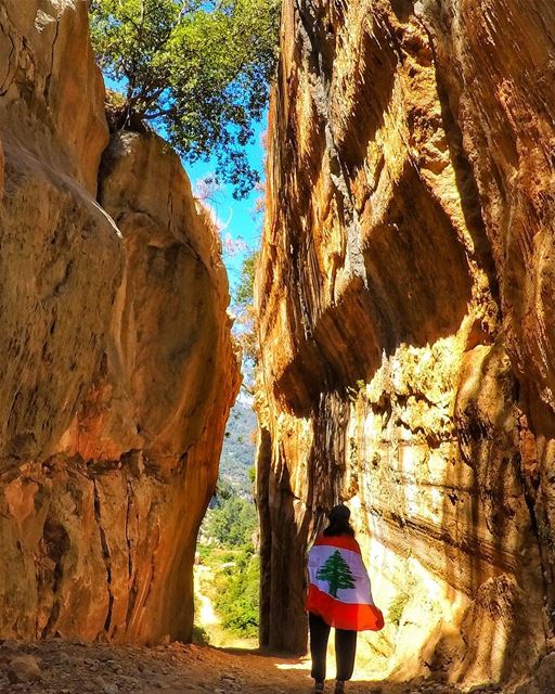 Forever proud كل عام و جيش بلدي بالف خير ❤️🌲❤️ (Lebanon)