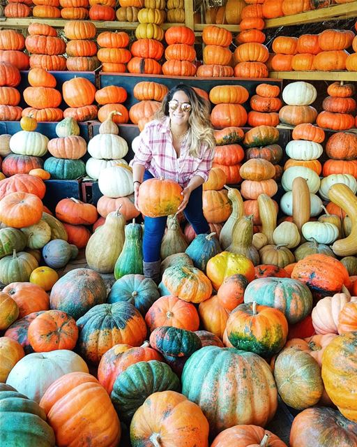 Found my pumpkin just in time for Halloweeeeen 🎃 🦇 🎃 Anyone else as... (Beqaa Valley)