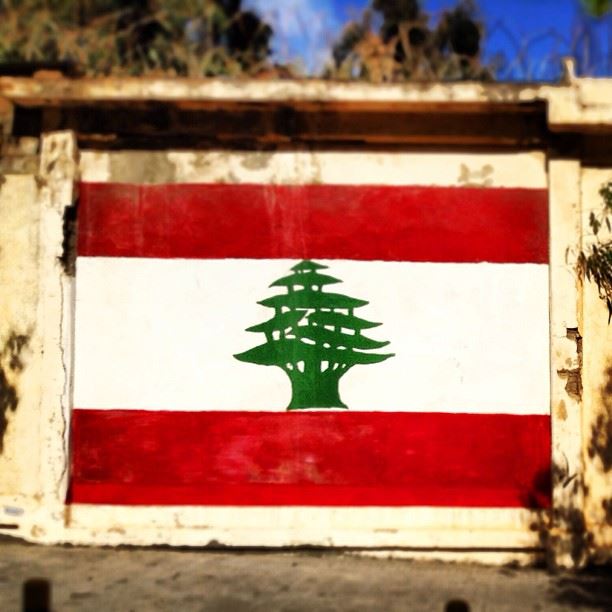 Foundation  flags  patriotism  nationality  streetart  graffiti  cedar ...