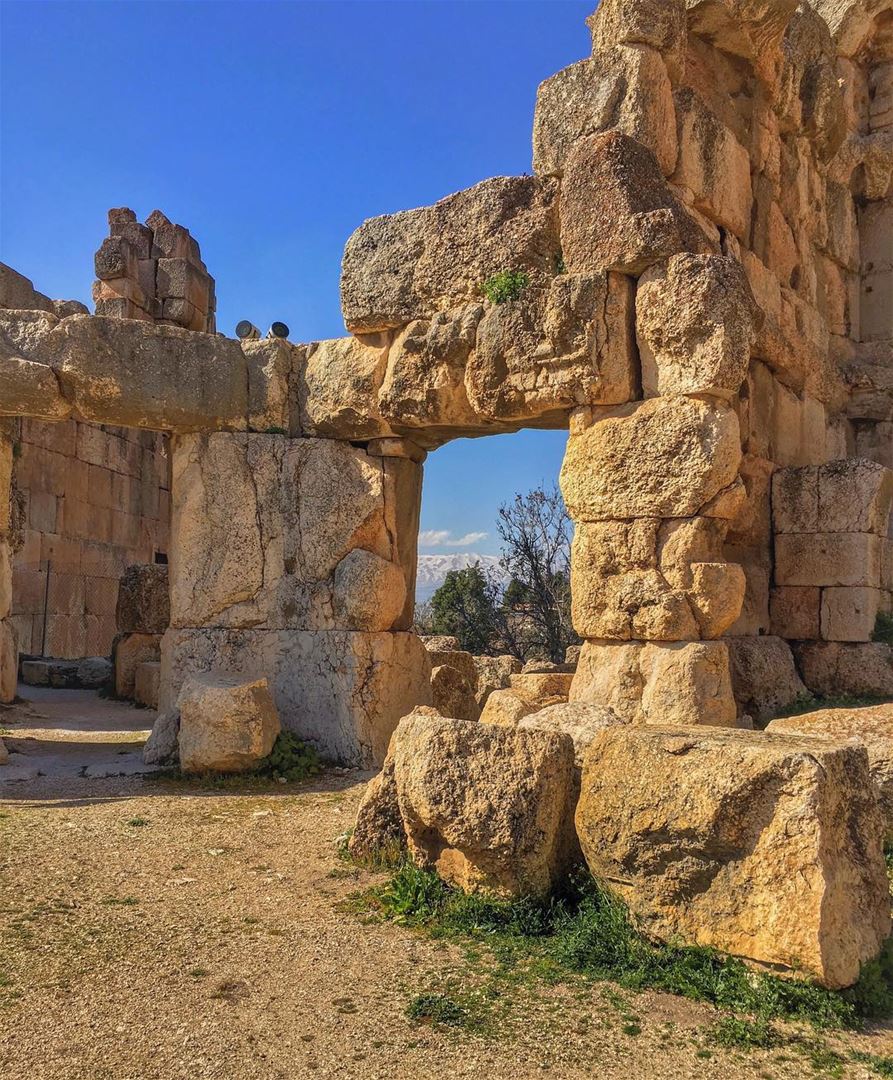Framed by history   nature baalbek   places   archaeology   wonders ... (Baalbek, Lebanon)