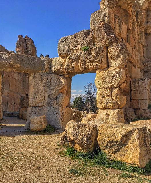 Framed by history   nature baalbek   places   archaeology   wonders ... (Baalbek, Lebanon)