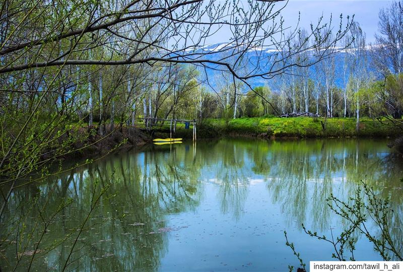 Frames 💚------ naturephotography  nature  instapic  ig_shotz ... (Al-Mansoura - West Bekaa)