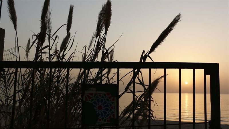 Framing  beautiful  lebanese  sunset 🌅 sunsetlovers  ig_sunset ... (Ramlat Al Bayda', Beyrouth, Lebanon)