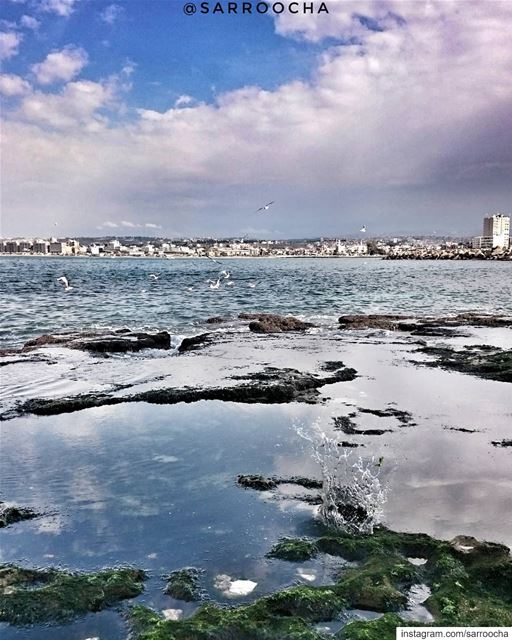 Free as a bird 🐦  takenbyme  ptk_Lebanon  visitlebanon  Lebanonbyalocal ... (Tyre, Lebanon)