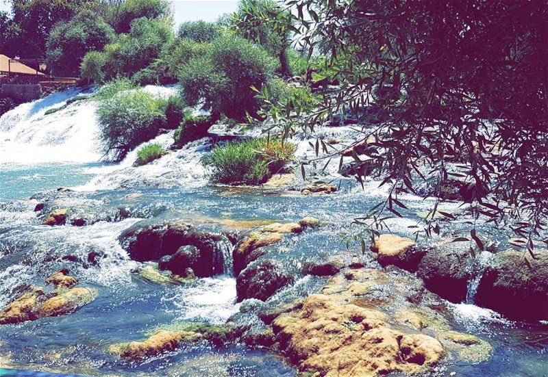 Freedom ❤ photography  photoshoot  photooftheday📷  nature  river ... (El-hermel, assi river)