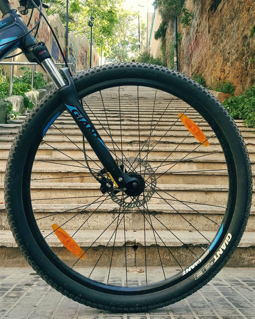 Freedom wheels.. Freedom steps.....Just set me free..🕊... cyclinglife... (Ein El Mreisseh)