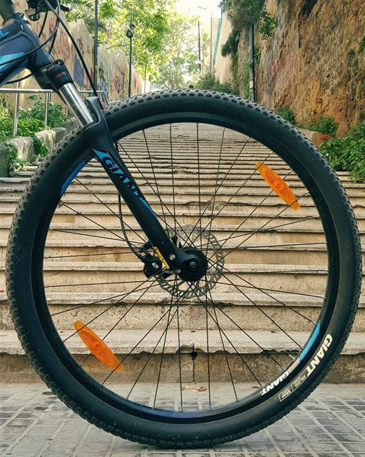Freedom wheels.. Freedom steps.....Just set me free..🕊... cyclinglife... (Ein El Mreisseh)