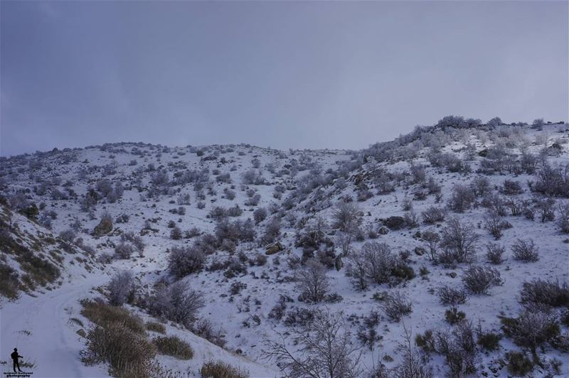 Freezing moments ❄️ snow  lebanon  chouf  livelovechouf  beirut ...
