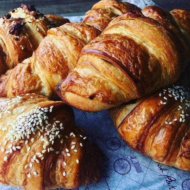  fresh  daily  croissant  chocolate  thyme  cheese  plain  Frenchbakery ...
