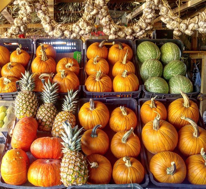💫 Fresh from the garden__________________________Follow: @amazingviewsof (West Bekaa)