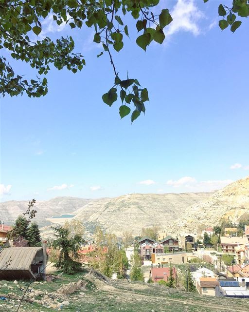 Fresh morning 🍃☀️ (Faraya, Mont-Liban, Lebanon)
