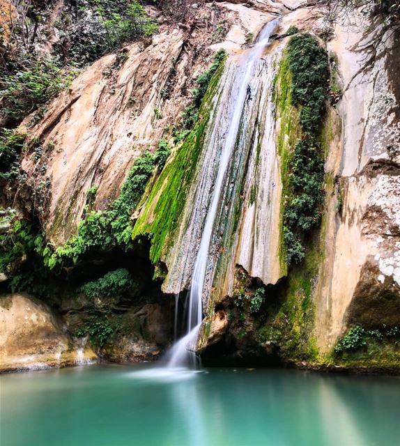  Fresh  Pure  Cold  Refreshing  Water  Waterfall  Yahchouch  Lebanon 🇱🇧... (Yahchouch)