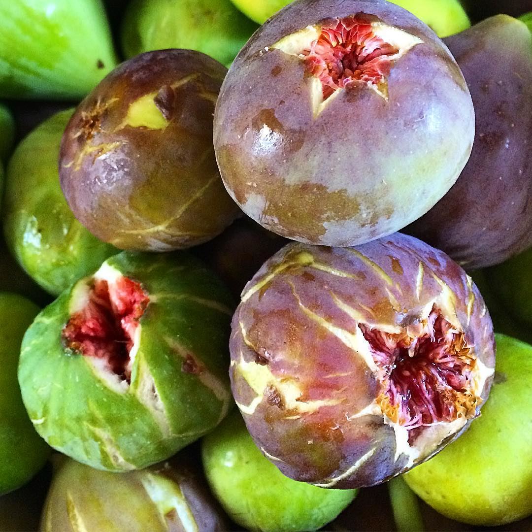  freshfigs  figs  summertime  lebanontimes  lebanoneats  tob ...