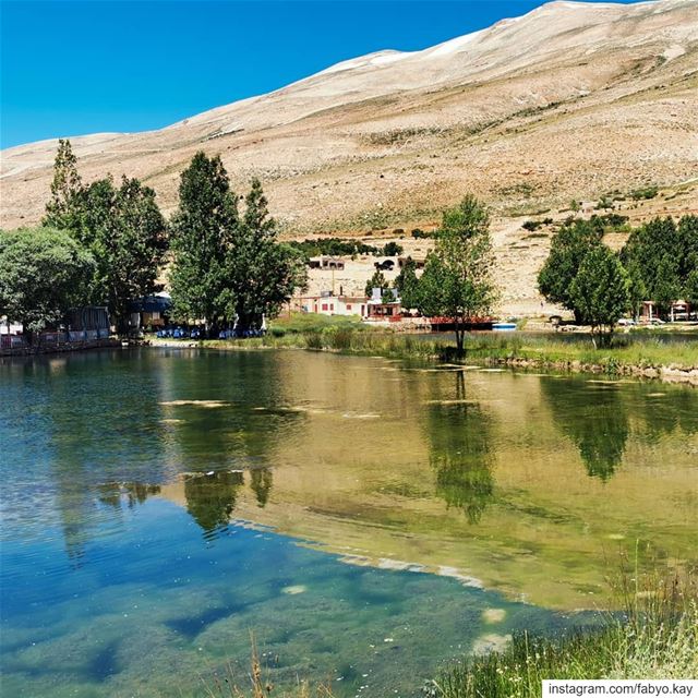  friday lebanon nature reflection tree_brillance naturephotography... (3youn Orghosh)