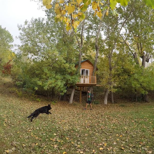FriYay 🐶🍁🏡🍂
