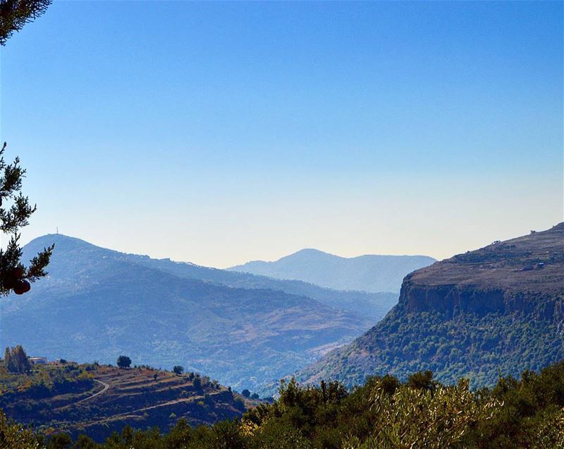 Frm the mountains of lebanon❤❤❤ naturelovers  naturephotography ...