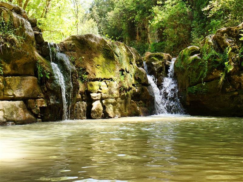 From Baakline with love 💚💙  live  hiking  waterfall  water  greenery ... (شلالات الزرقاء -بعقلين)
