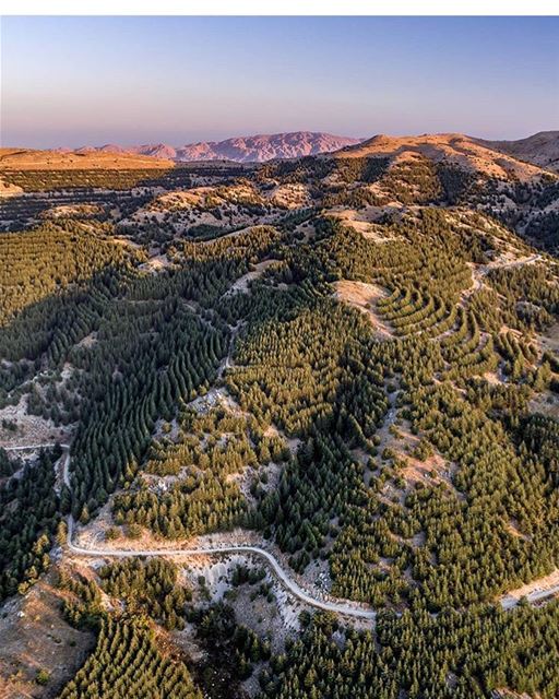 From Barouk ⛰ to Hermon ⛰🌅 by @rami_rizk89 🚁 lebanon... (Maaser El Shouf Cedar Reserve محمية ارز معاصر الشوف)