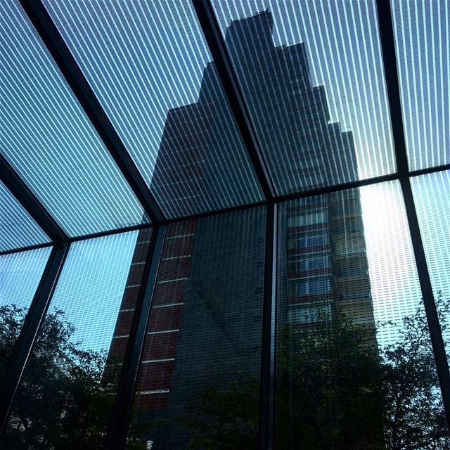 From behind the glass  Lookingup_architecture  jj_architecture...