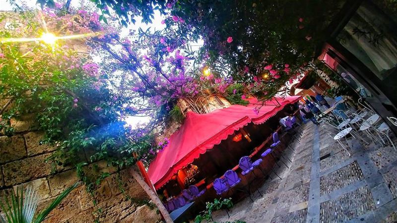 From Byblos with love 💜........... lebanon  livelovebyblos ... (Byblos - Jbeil)
