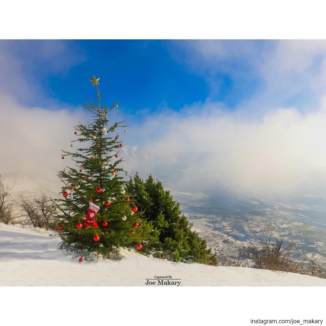 From Ehden To The World MERRY CHRISTMAS 🎄☃️❄️🎁🌟 ehden ...