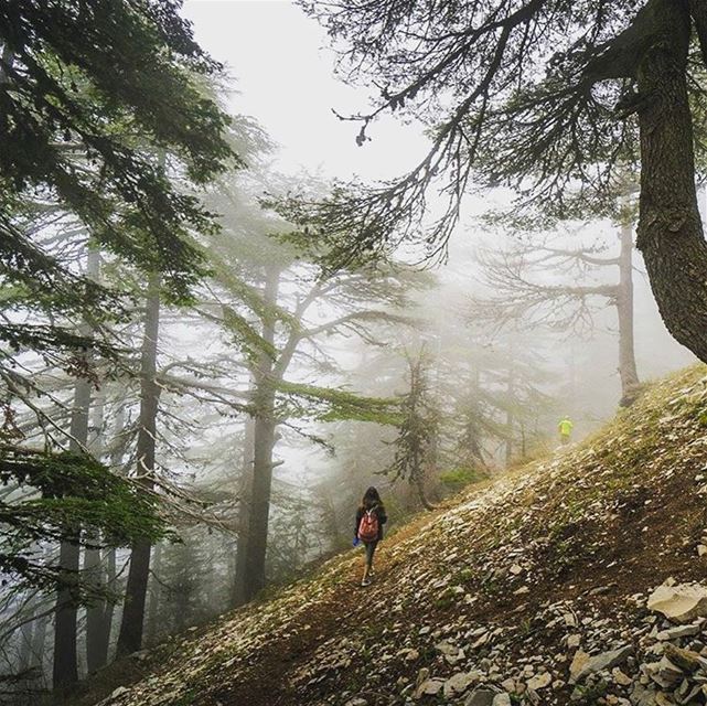 From nature, to nature ❤️taken by @batlounis   lebanon  hiking  ehden @live