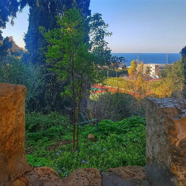 From @sarourah -   beirut  lebanon  instaphoto  livelovetheworld ...