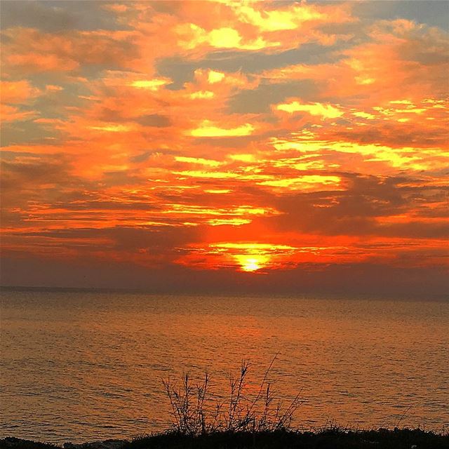 " From Sunrise To Sunset, Let the LORD's Name Be Praised..."... (Batrouun)