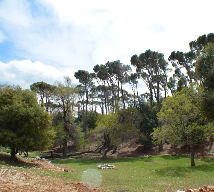 "From the moment you entered this world of existence, a ladder was put in... (`Ammiq, Béqaa, Lebanon)