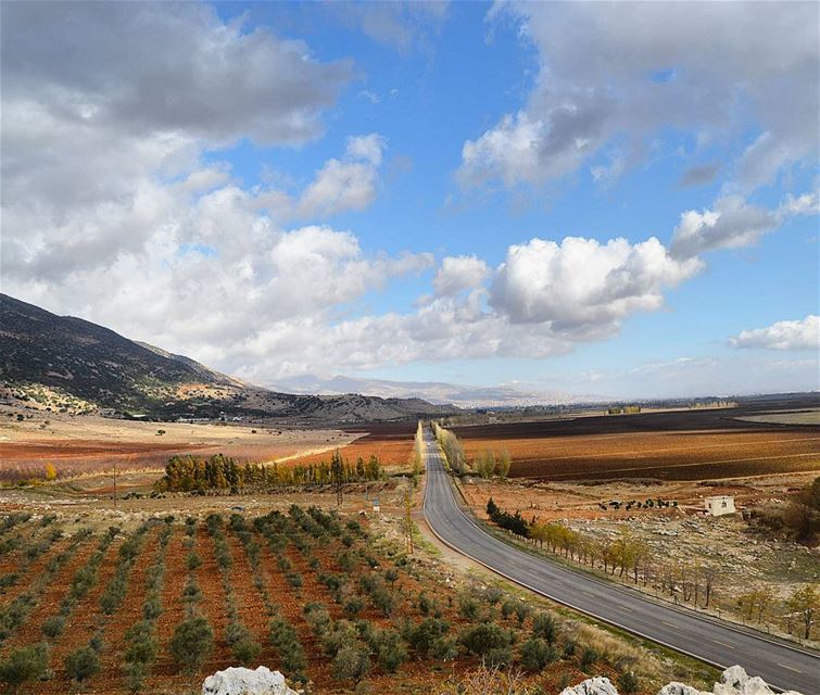 From west bekaa with love  bekaavalley  westbekaa  agriculture  farm ...