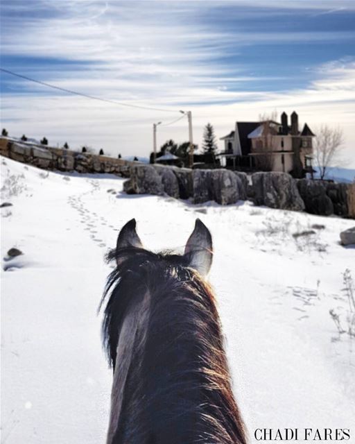 From where i  Horse ... 🐎 (El Mroûj, Mont-Liban, Lebanon)