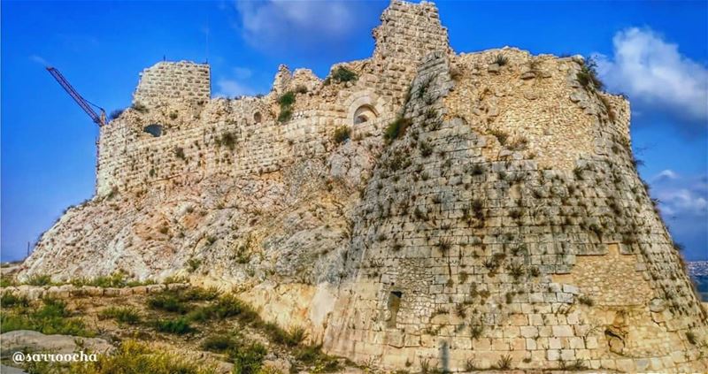 From where they stood, they could see the castle 🏰  takenbyme ...