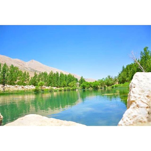 From where you stand.  Lake  trees  nature  beauty  reflection  relaxation...