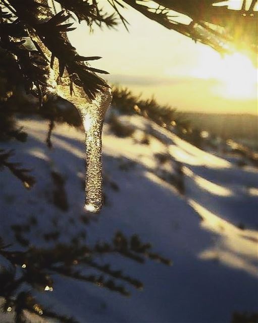 Frozen in time❄️❄️  photographysouls  photography  photographer ... (Arz el Bâroûk)