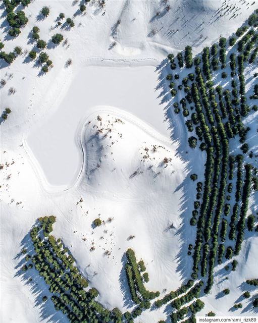 Frozen lake ❄️ ... barouk  shouf  chouf  shoufcedarreserve  lebanon ... (Al Shouf Cedar Nature Reserve)