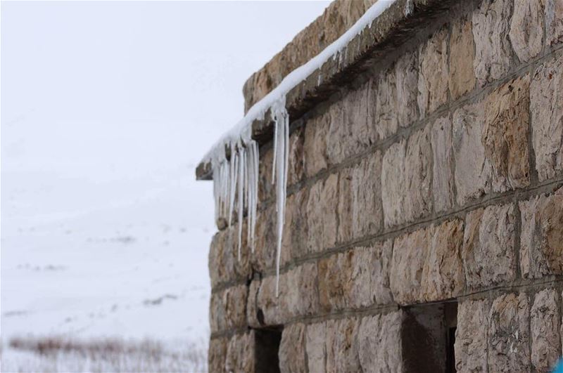  frozen  winter2017  falougha  snowday  lebanon  oldhouse  livelovebeirut ... (Falougha, Mont-Liban, Lebanon)