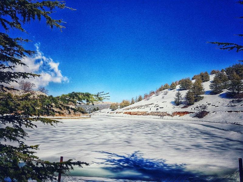  frozenlake 🏞 lake  natureloversgallery  naturephotography  ptk_lebanon... (Shouf Biosphere Reserve)