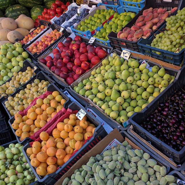  fruit   fruits   lebanesefruits   lebanon  livelovelebanon  ...