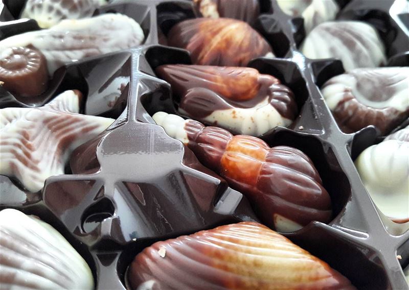 Fruits de mer au chocolat....irrésistible! BackHome  Back to  Lebanon ... (Tripoli, Lebanon)
