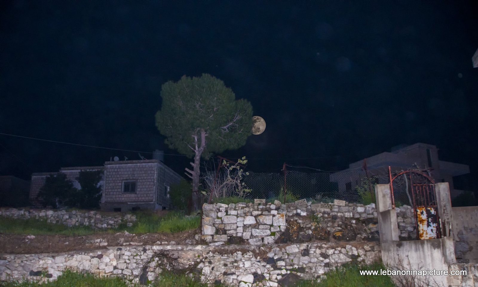 Full Moon coming from behind a tree (Yaroun, South Lebanon)