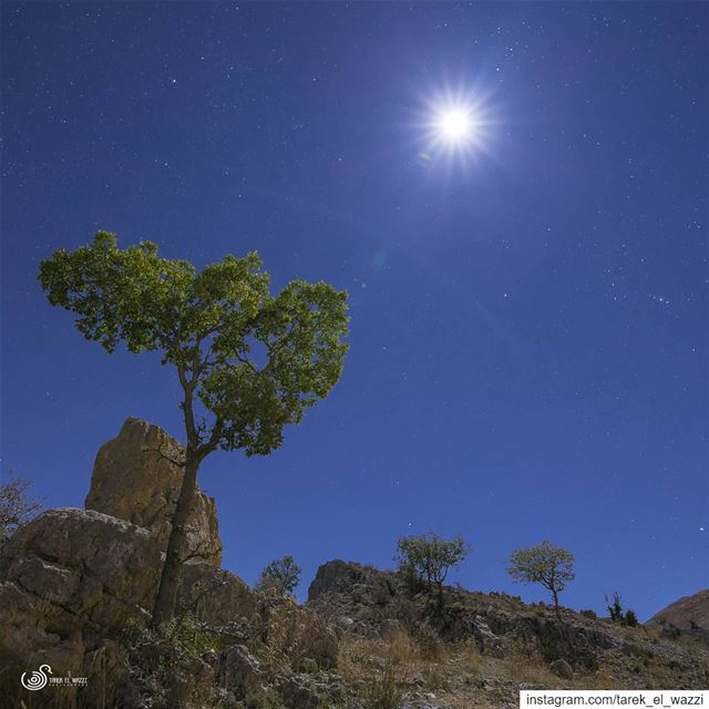 Full moon nicely lighting up the landscape. squareaspectratio  Lebanon ...