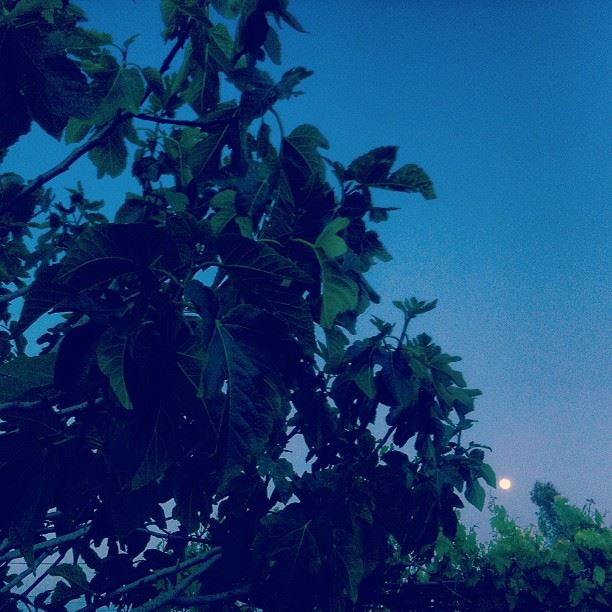 Full moon