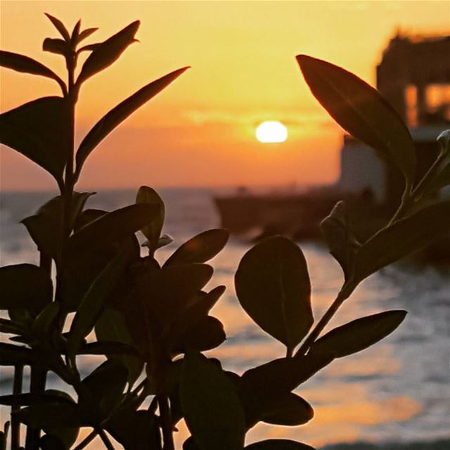 Full... sun...set ...  ig_lebanon  insta_lebanon insta_jezzine ...