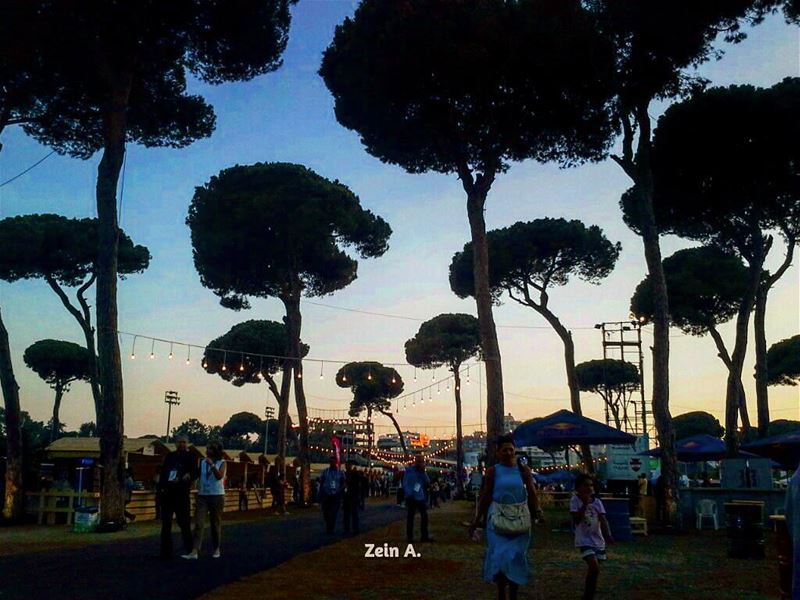  fun  festival  culture  streetphotography  lebanonspotlights  oldbeirut ... (Beirut Cultural Festivals)